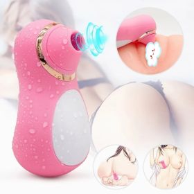 Intense Suction Clitoral Stimulator Female Massager Pink Estimulador Feminino De Seios E Clitâˆšâ‰¥ris 10 Velocidades vibradoras femininos